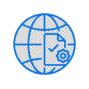 Domain Registration & Maintenance